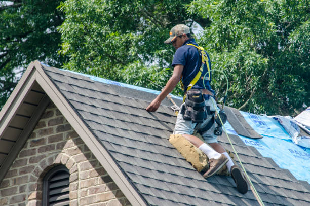 Best Roof Leak Repair  in Morgantown, IN